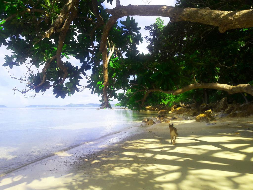 Alam Indah Beach Resort Busuanga Exteriör bild