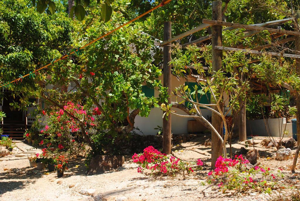 Alam Indah Beach Resort Busuanga Exteriör bild